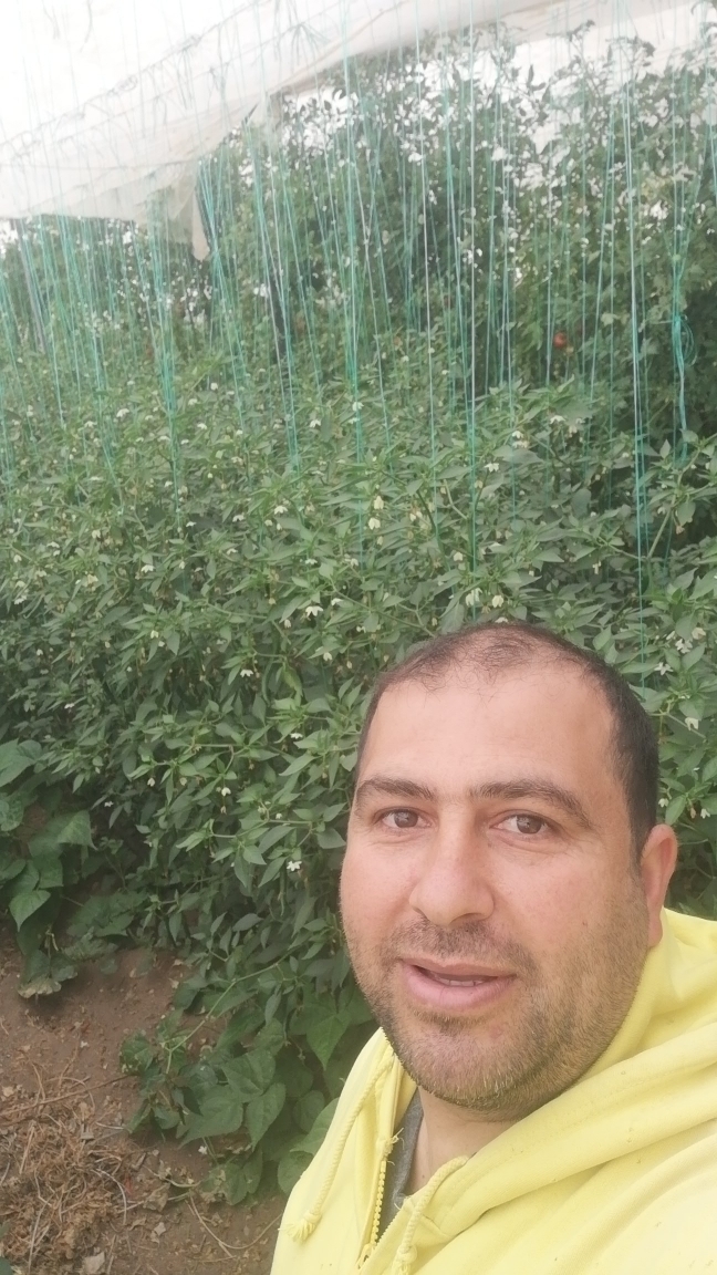 Ümit