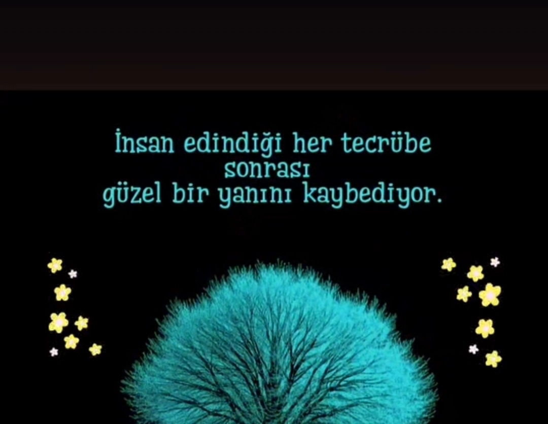Aynur