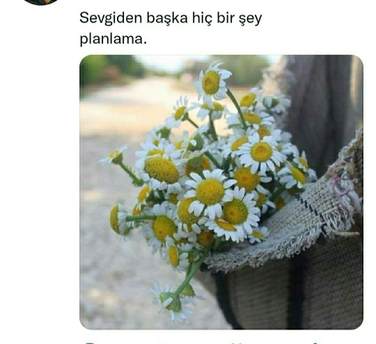 Zeynep
