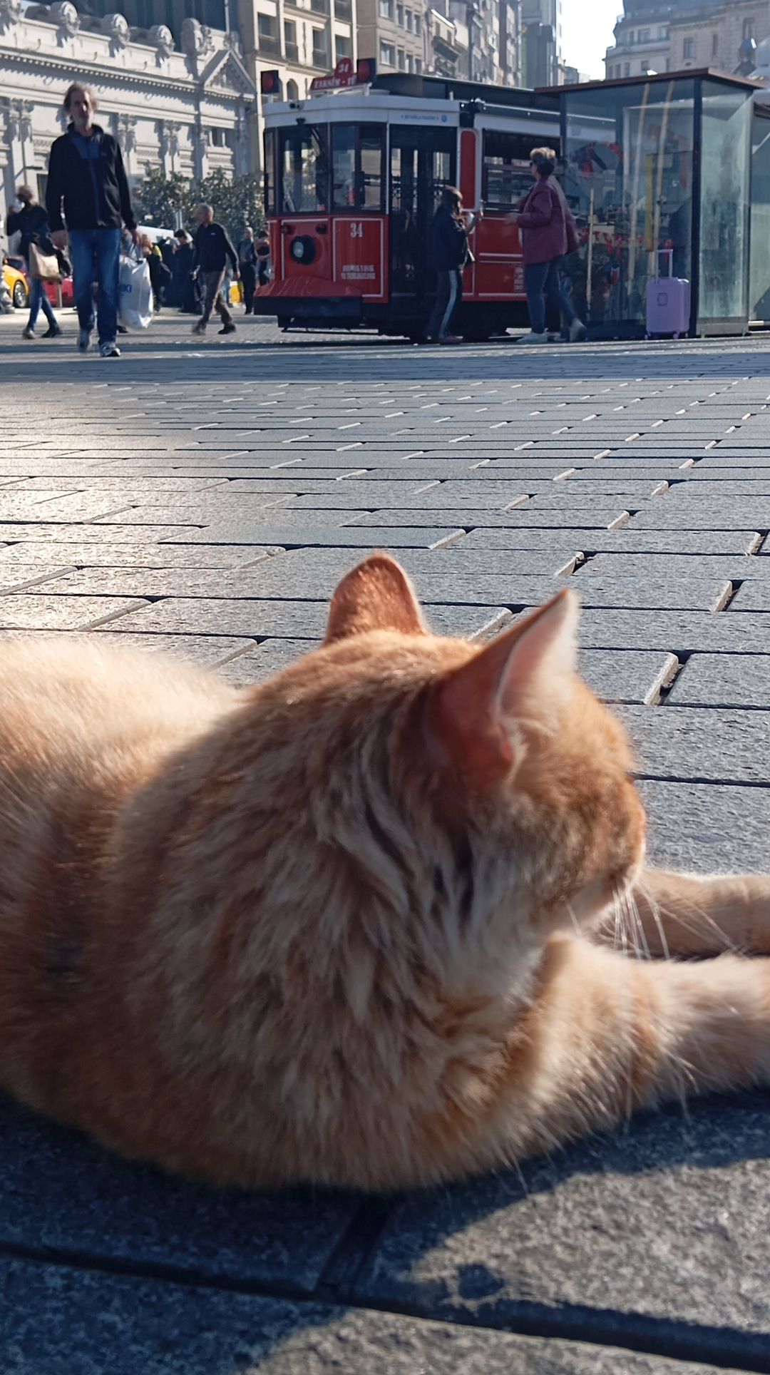 Erdoğan