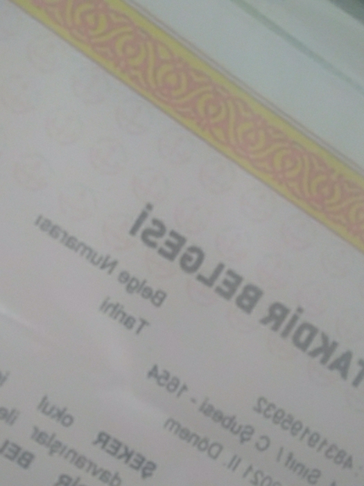 Gülay