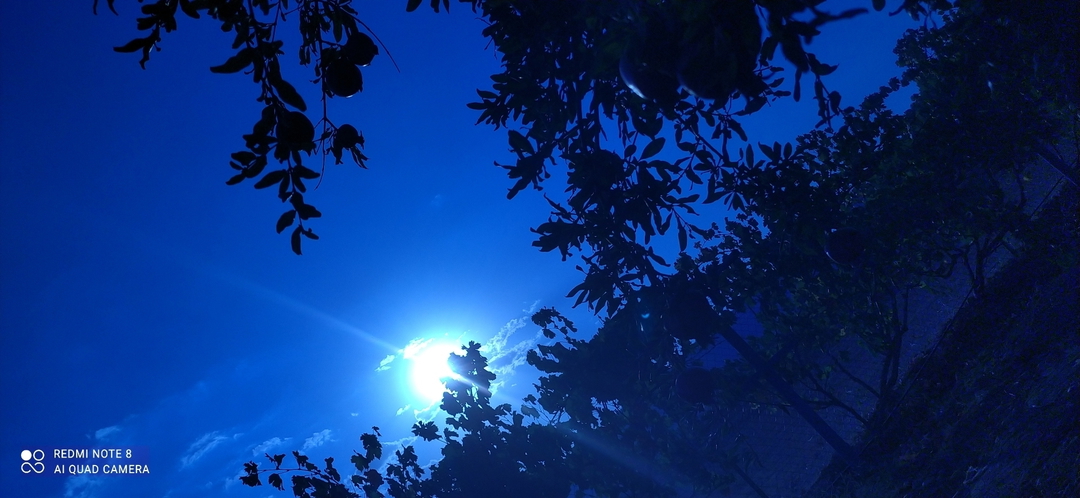 Eyup