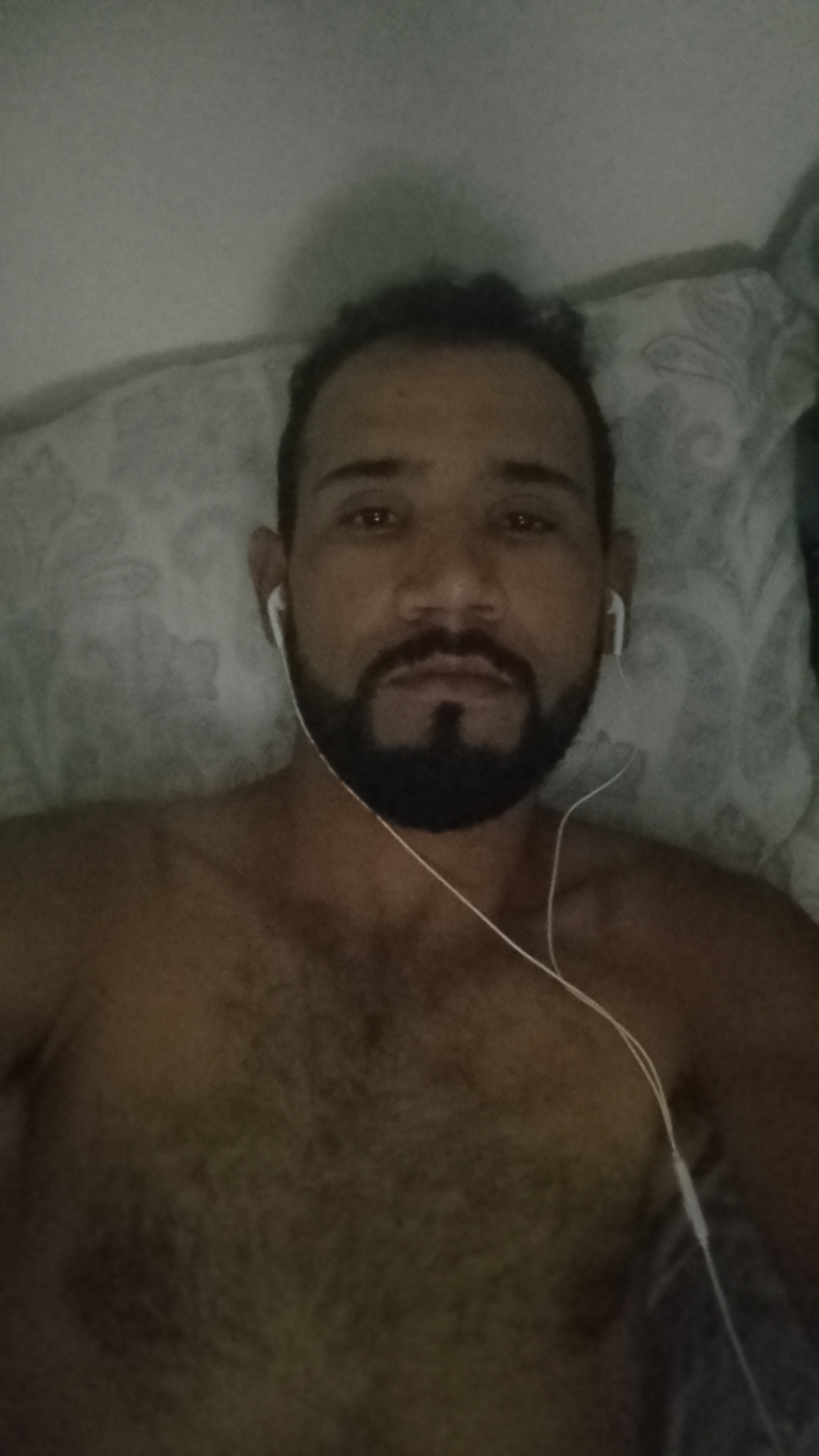 Bruno