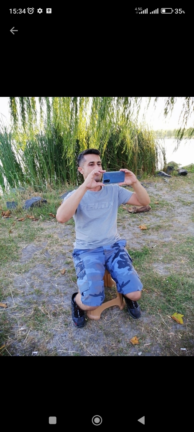 Şahin