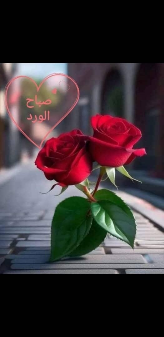 Waled