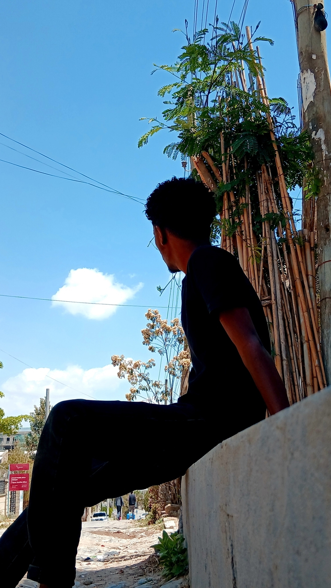 Damera