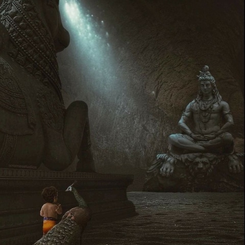 Rohit