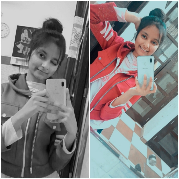 Vish