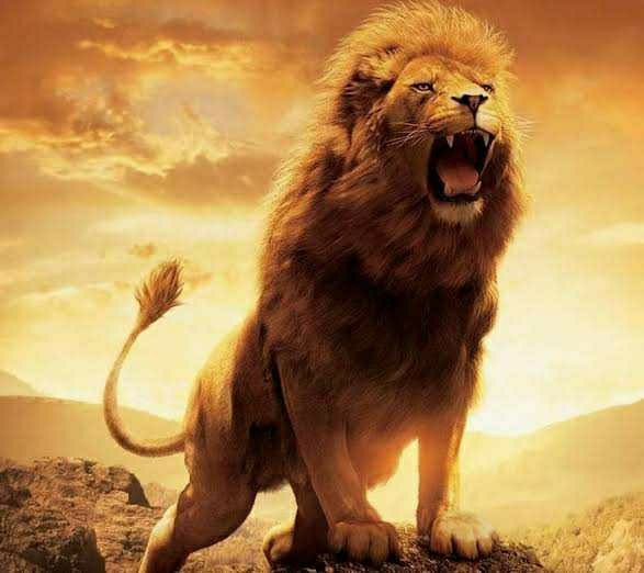 Uday
