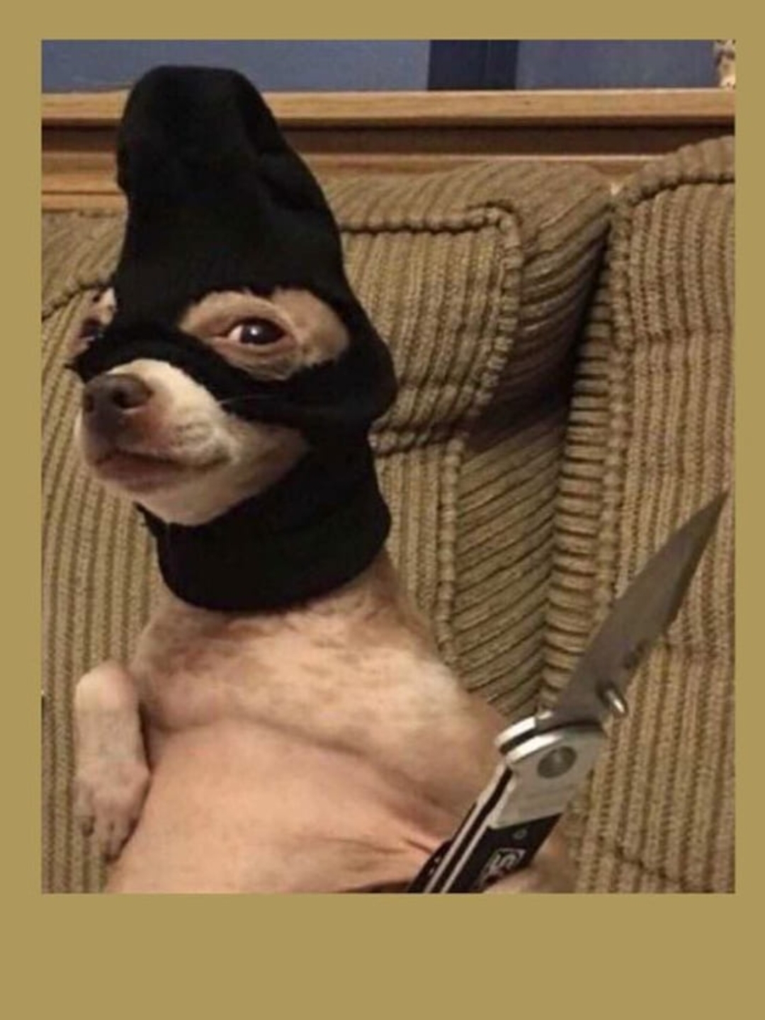 Axel