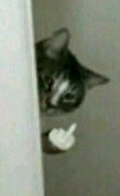 Busenurnurrr