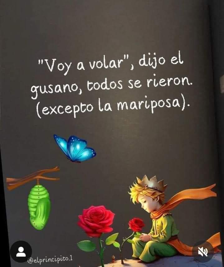 Carlita