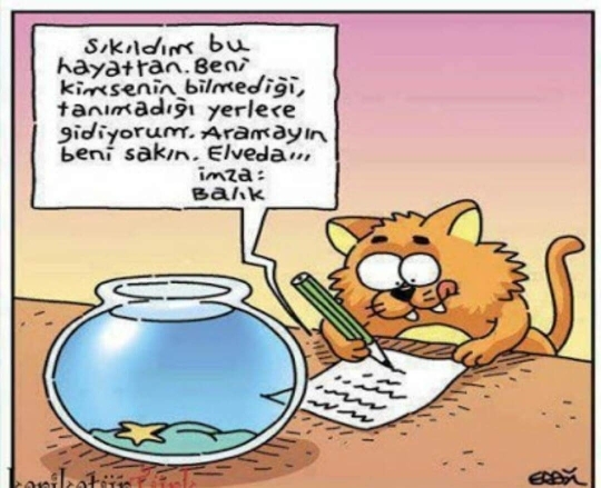 Emir