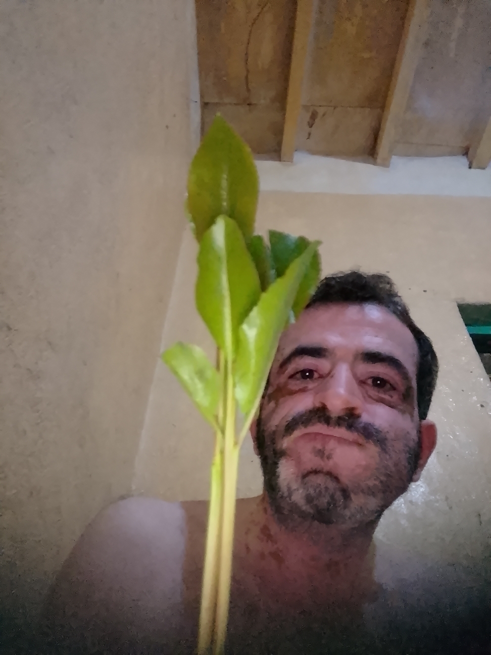 اصيل