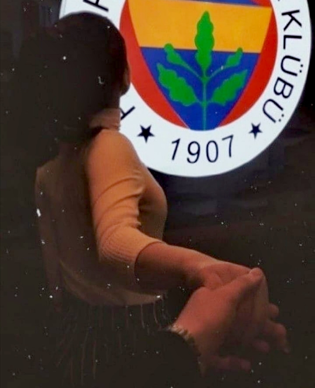 Nur