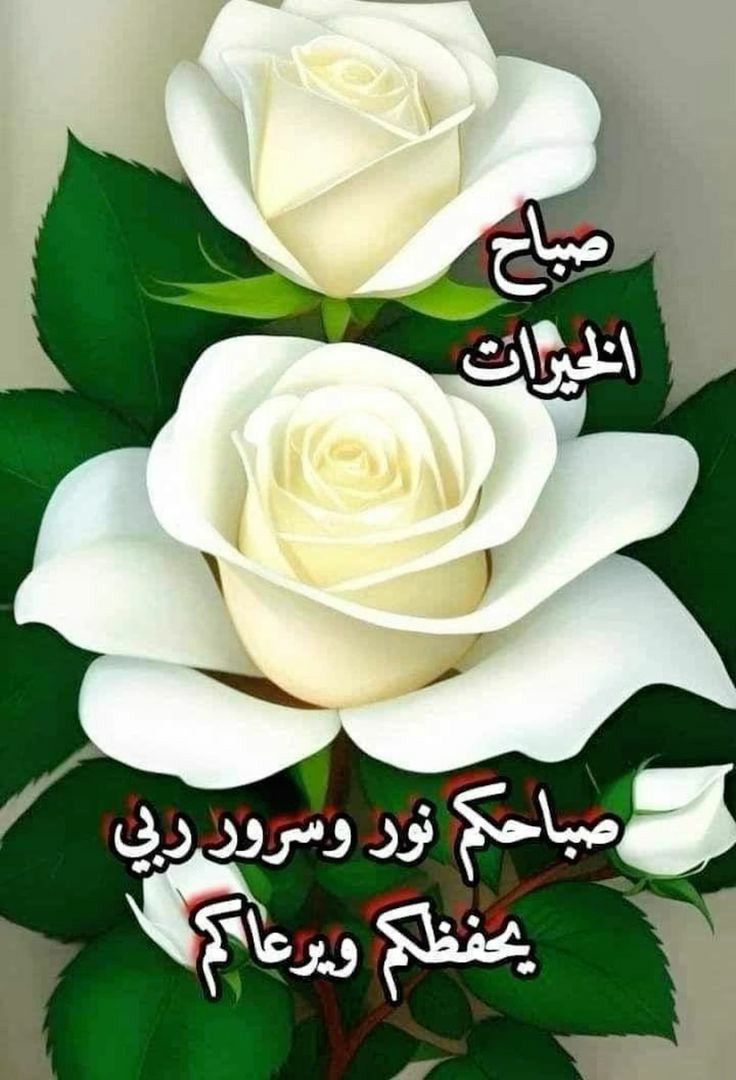 Abda