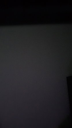 Momentum