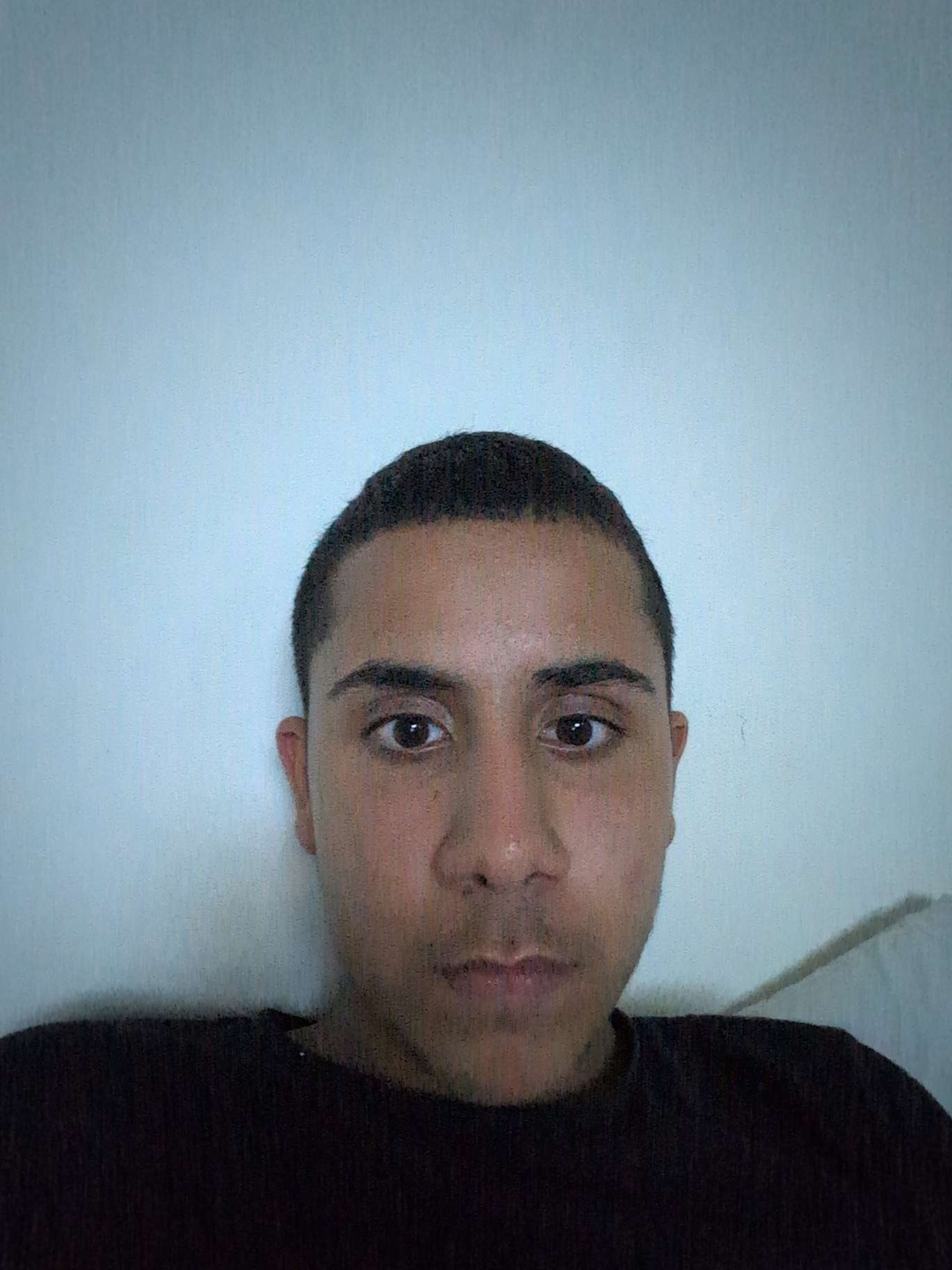 נועם