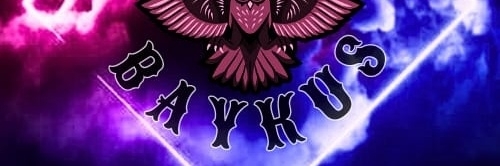 Baykus