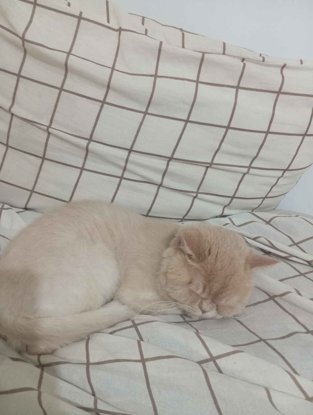 Emine