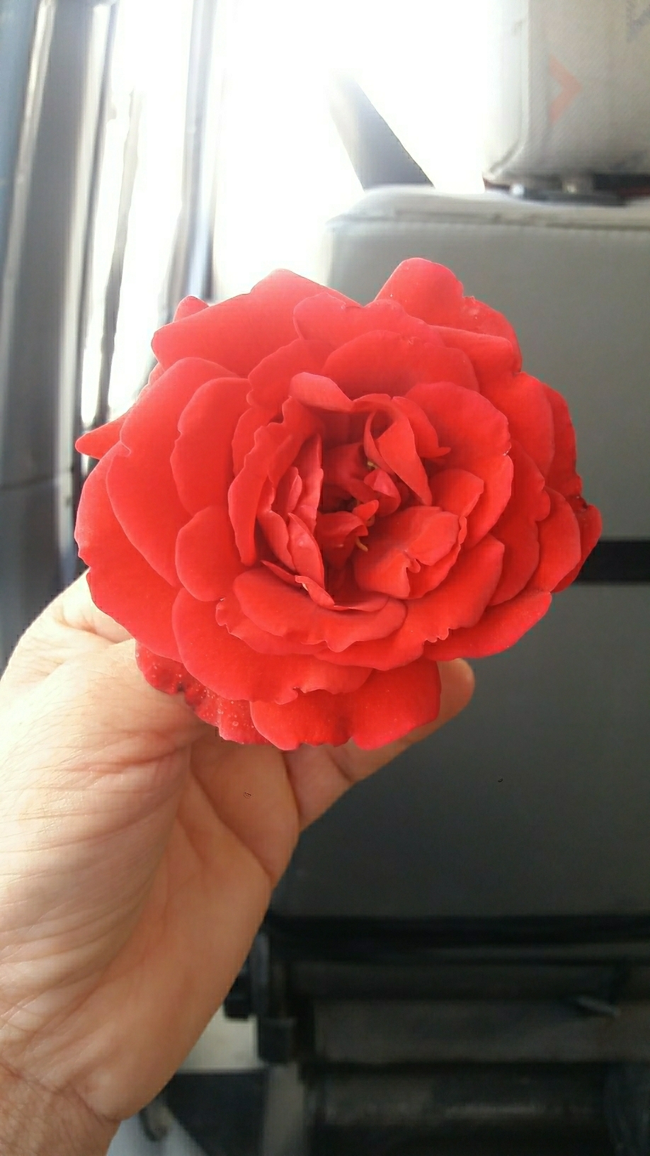 Yıldız