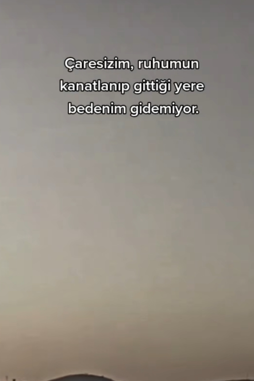 Samet
