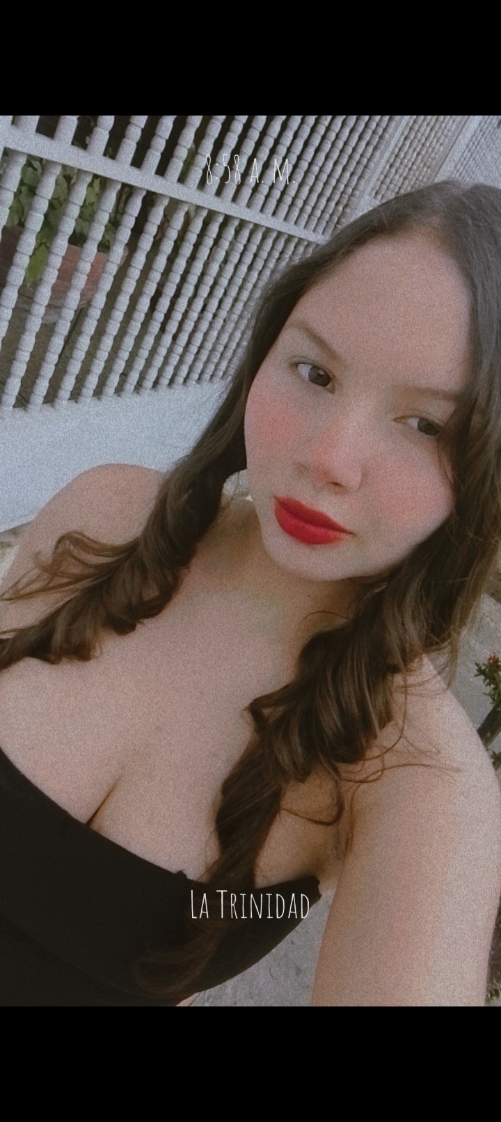 Anelis