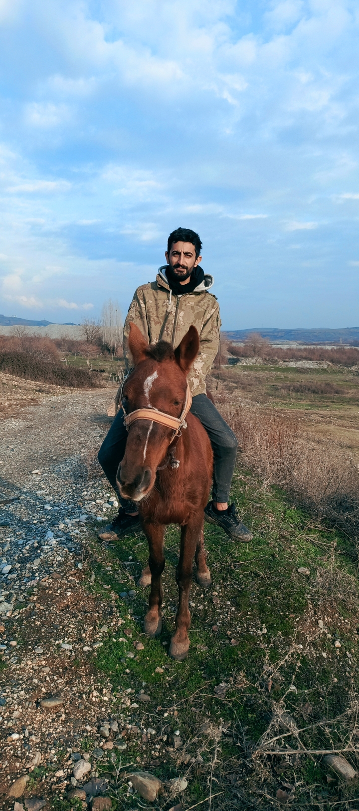 Arslan