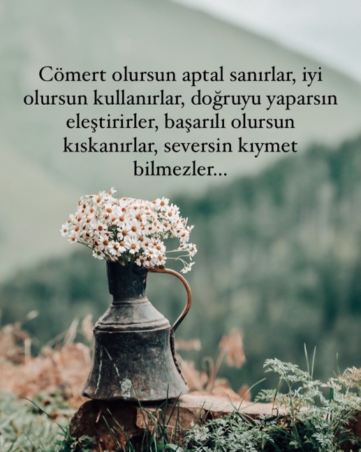 Nilüfer