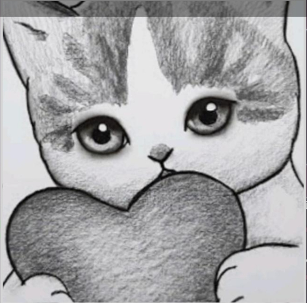 Funda