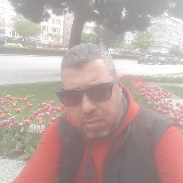 Zeynel