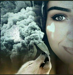 HIRA