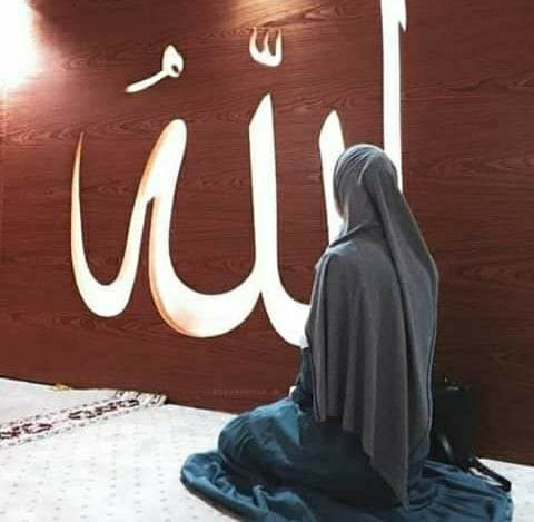 HAYAT