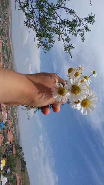 Kübra