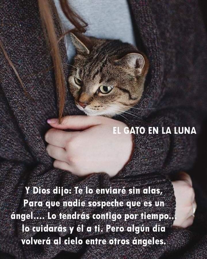 Adri