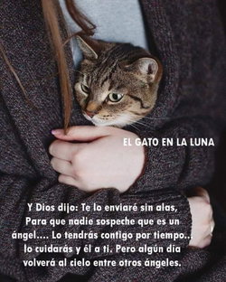 Adri