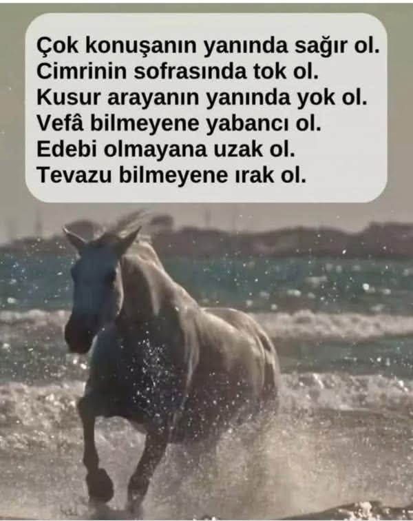 Büşra