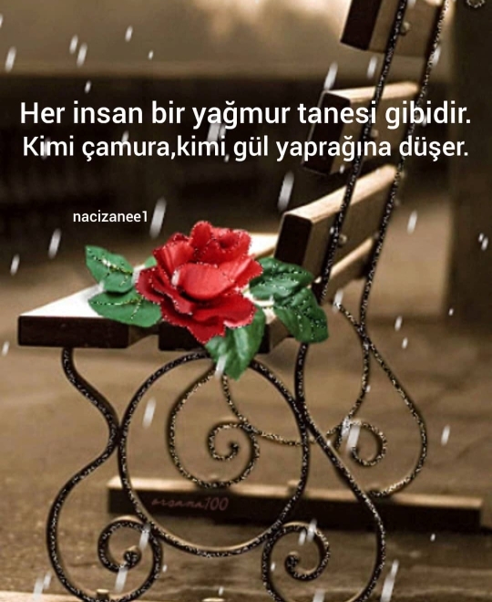 Zeynep