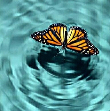 Zeynep