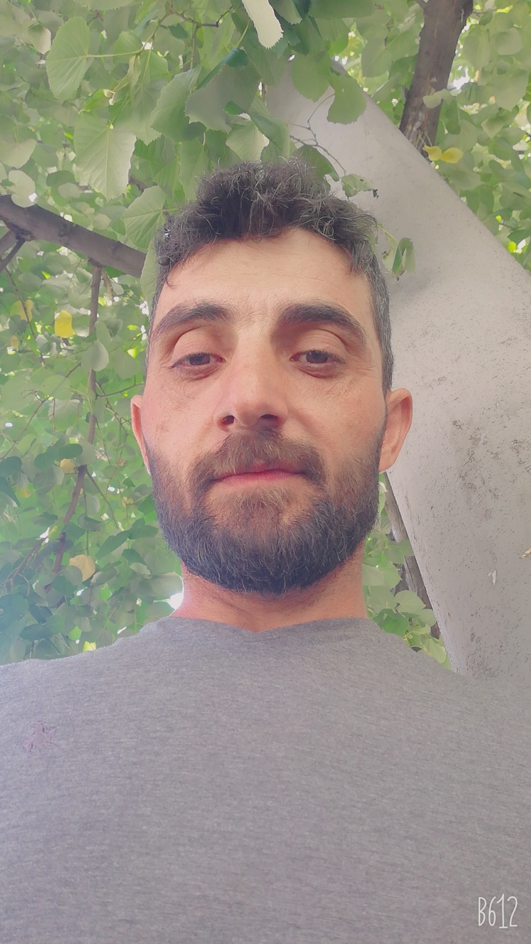 Yener