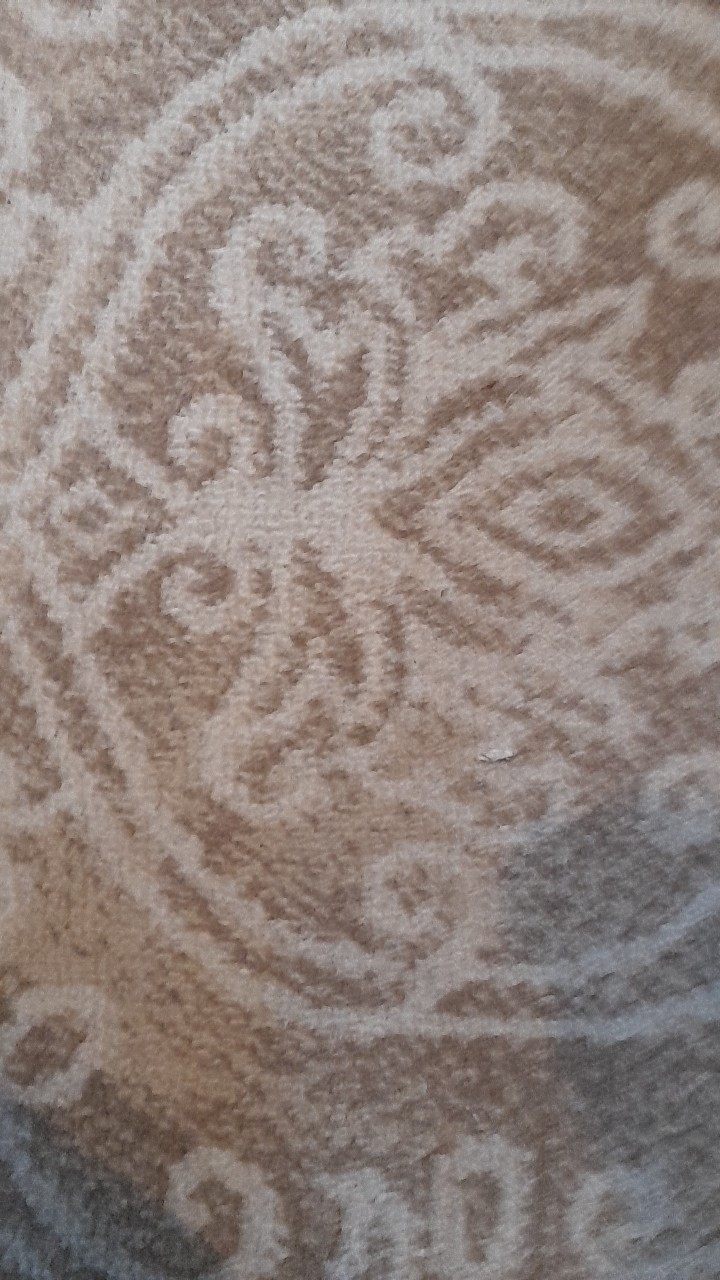 Pərviz