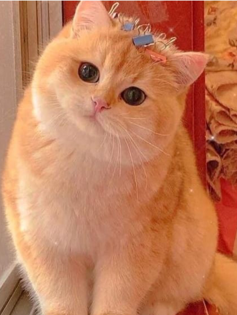 Nazlı