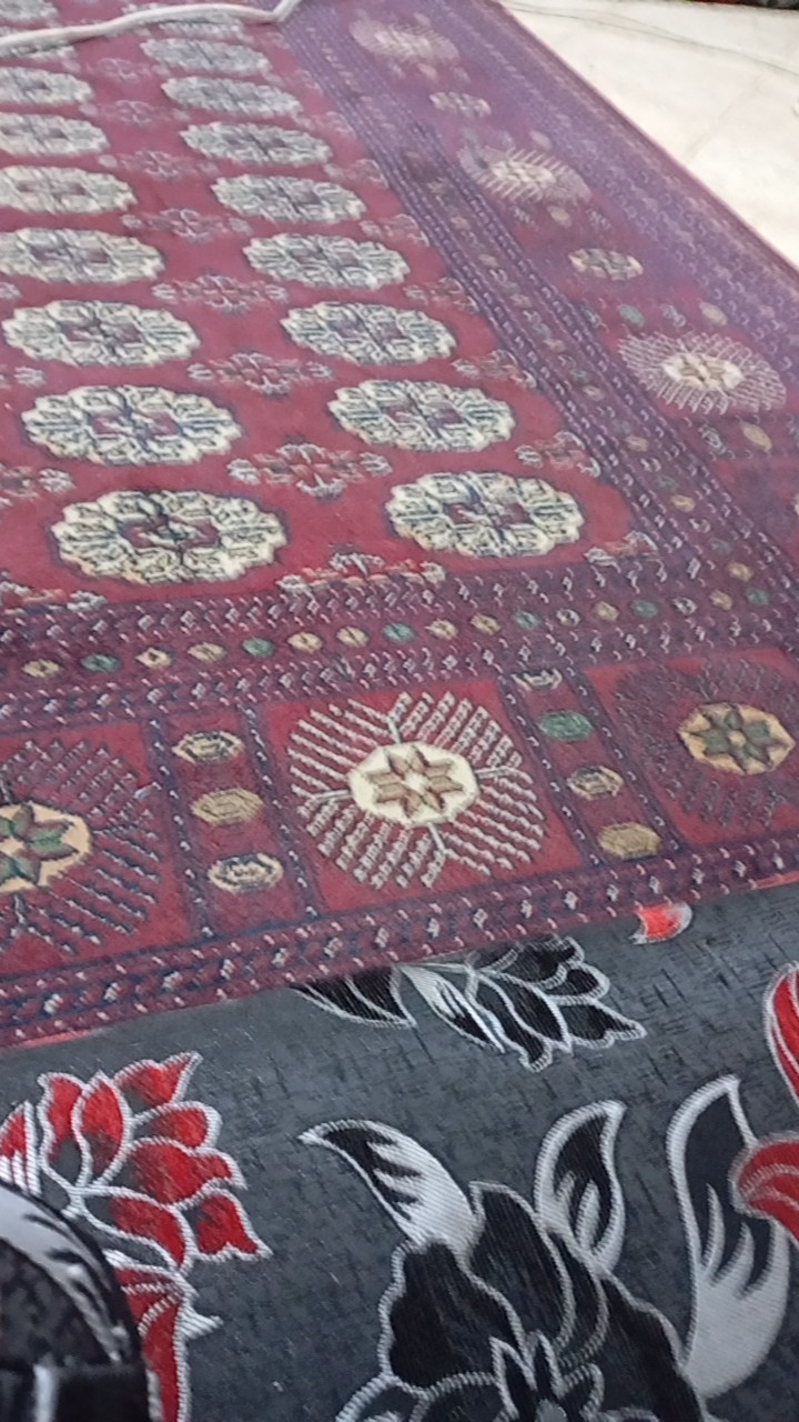محمد