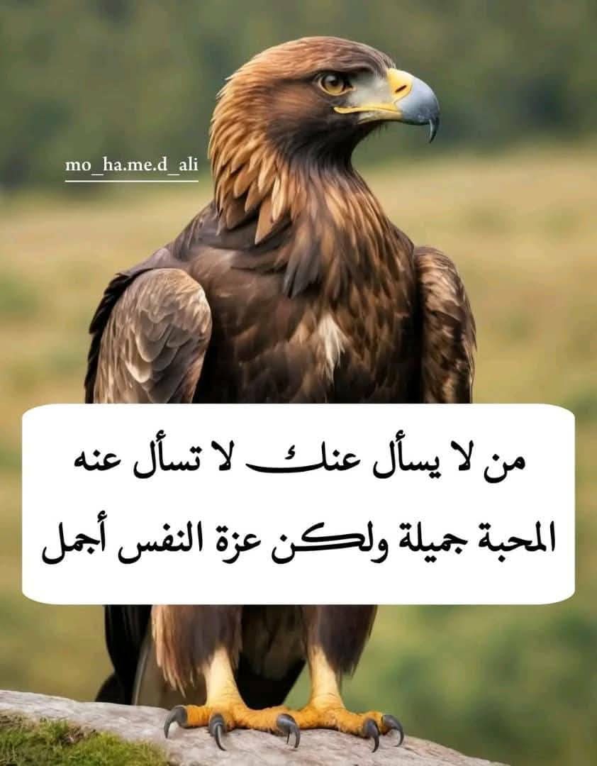 Jxdhjfddjjff