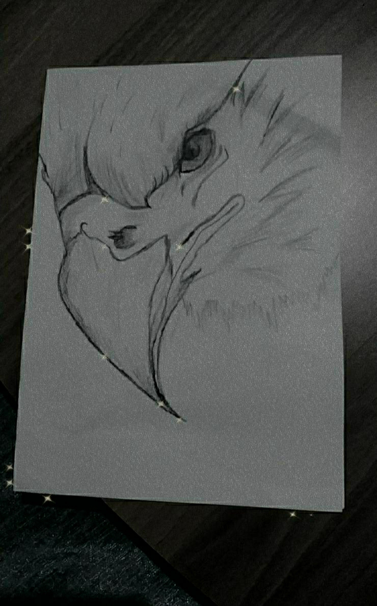 Hilal