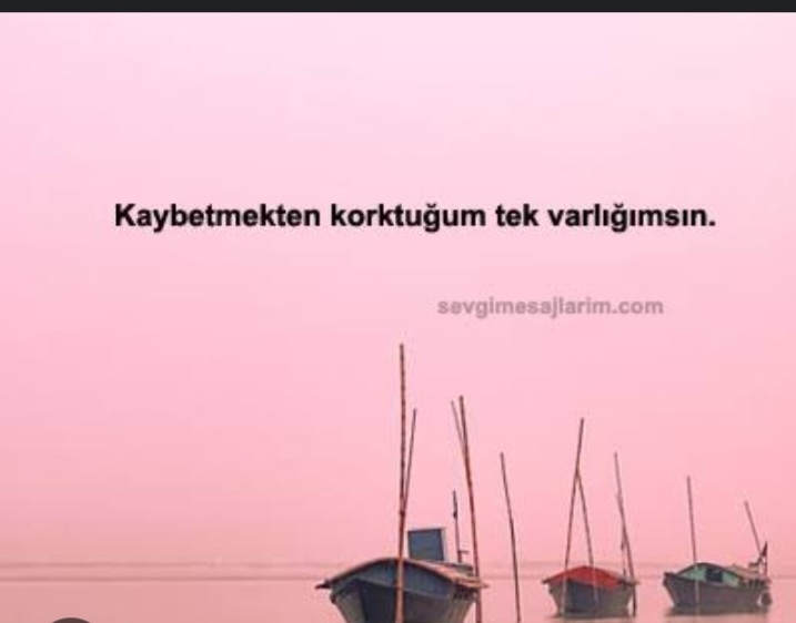 Didem