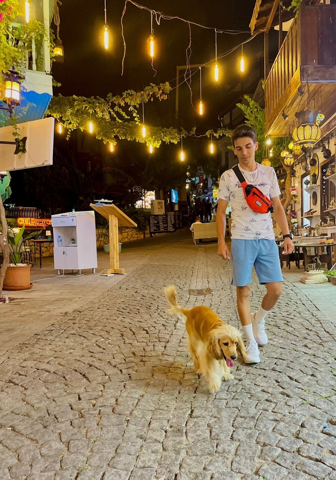 Ferdi