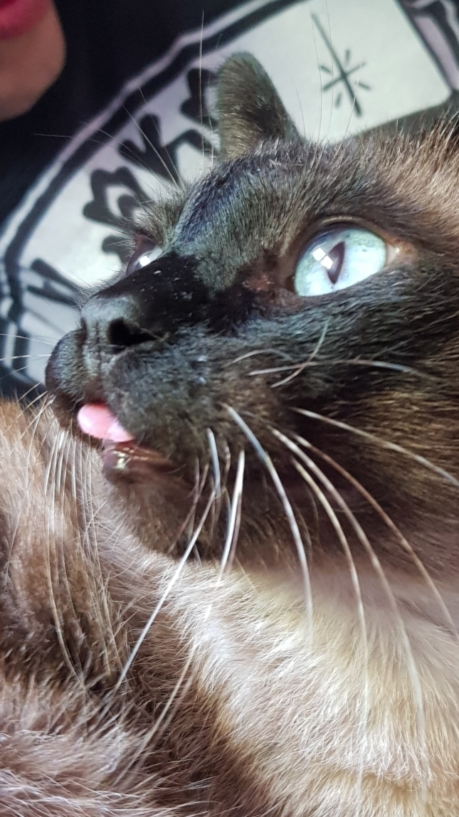 Sabrina