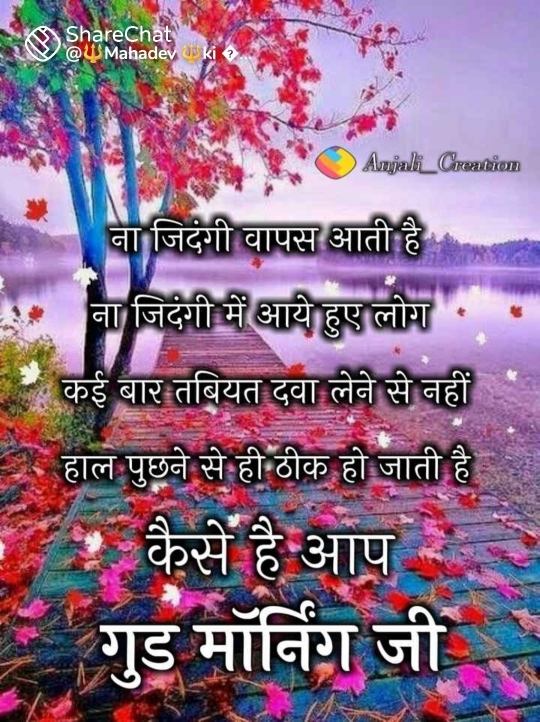Pappu