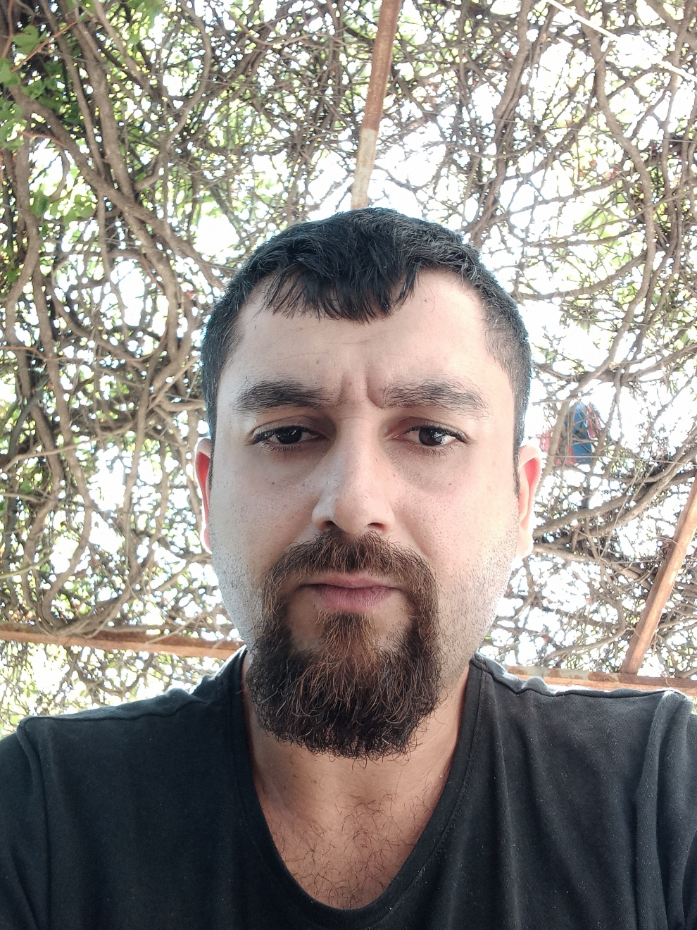 Engin